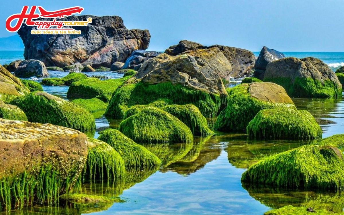 Bảo tàng Điêu khắc Chăm Đà Nẵng - Happy Day Tourist